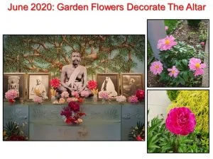 June 2020 Altar Flowers