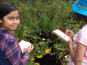 08-17 Audubon Society of RI Field Trip