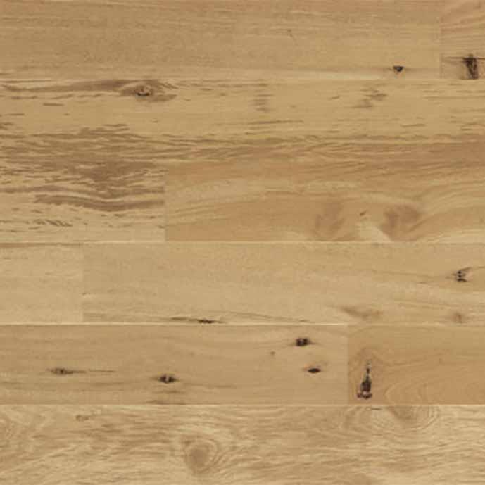 Amazon Oak Wheat