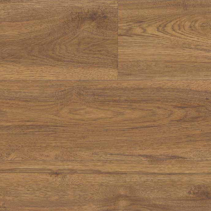 Marsh Oak