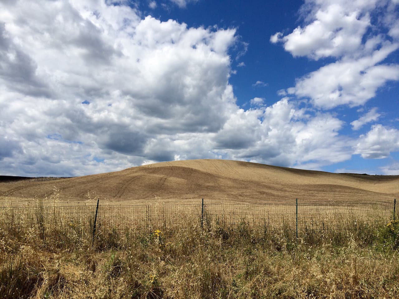 Le colline della Val d'Orcia