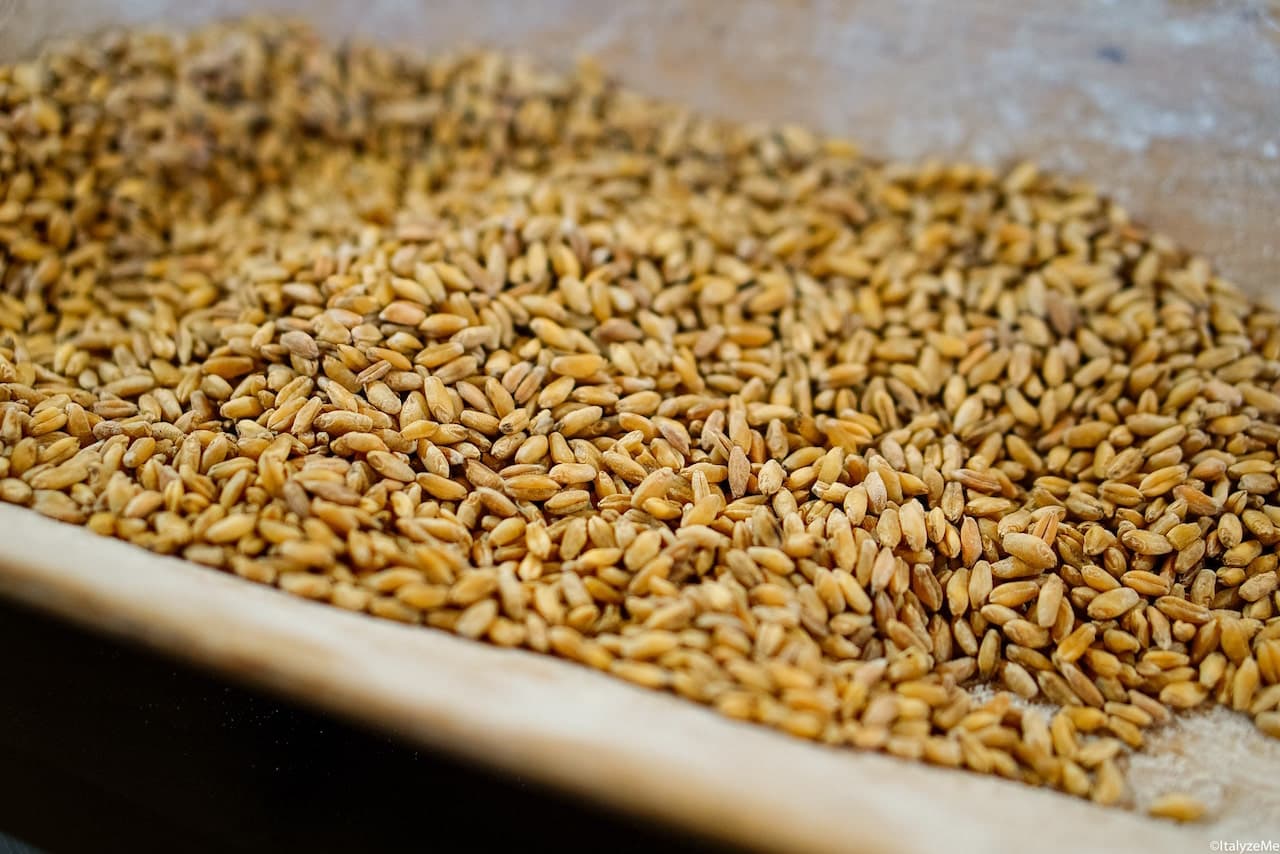 Chicchi di grano, Mulino Valdorcia