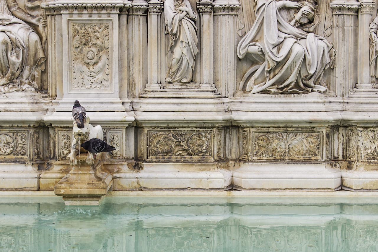 L'acqua della Fonte Gaia in Piazza del Campo