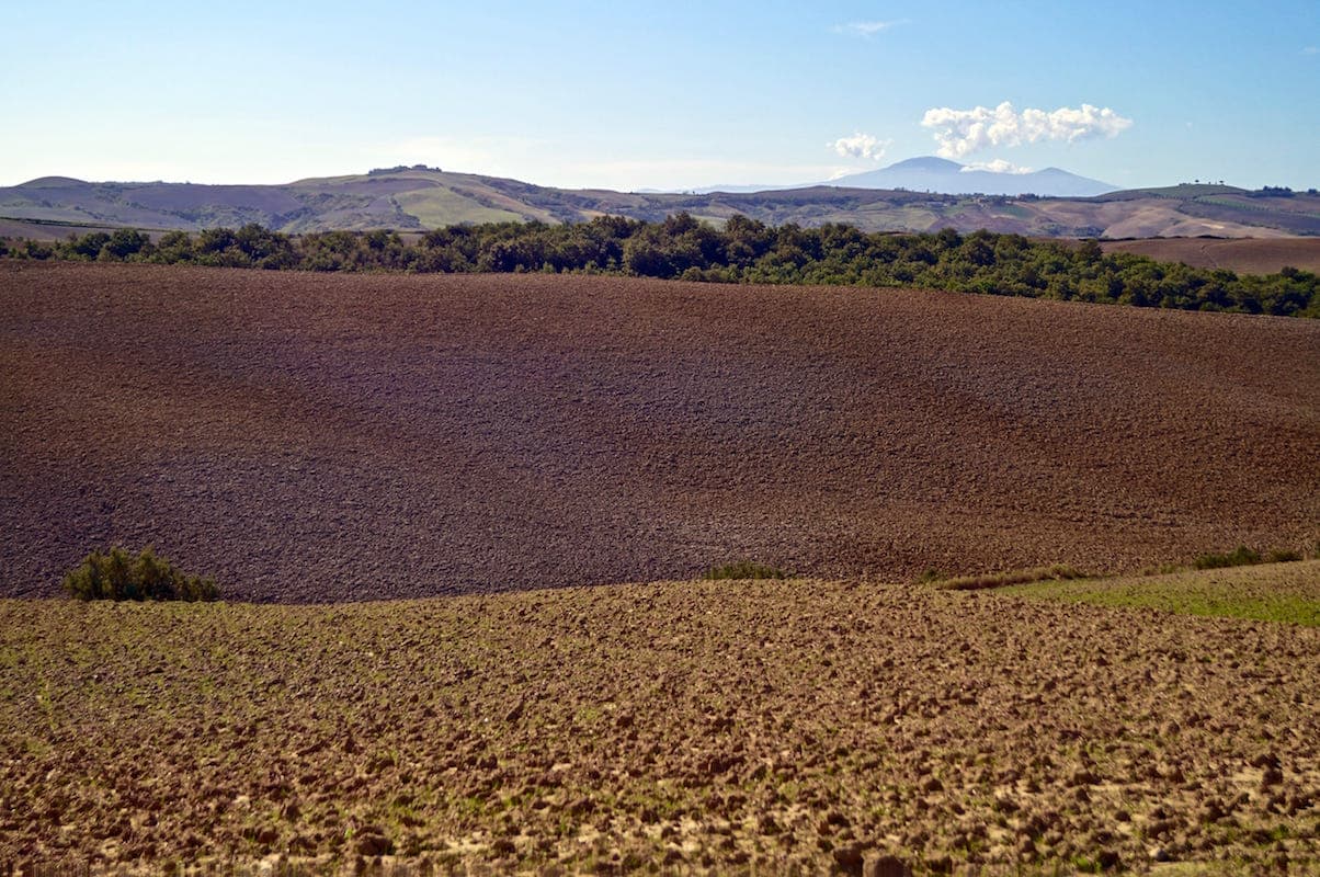 Campi coltivati nelle Crete senesi in estate