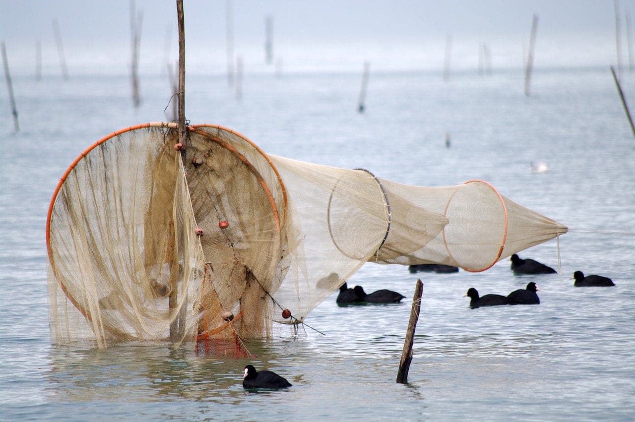 Reti da pesca al lago Trasimeno