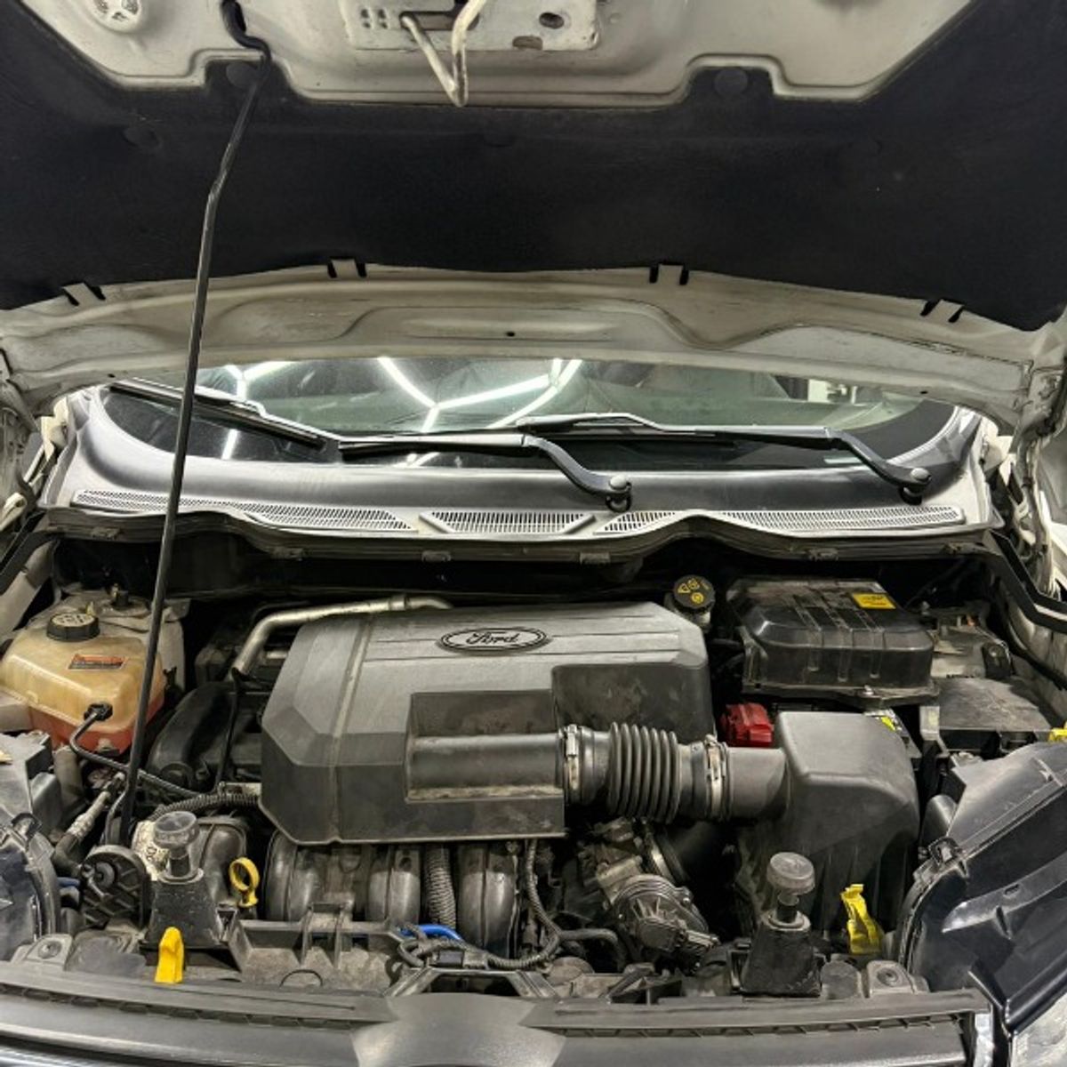 Foto 12 de Ford Ecosport