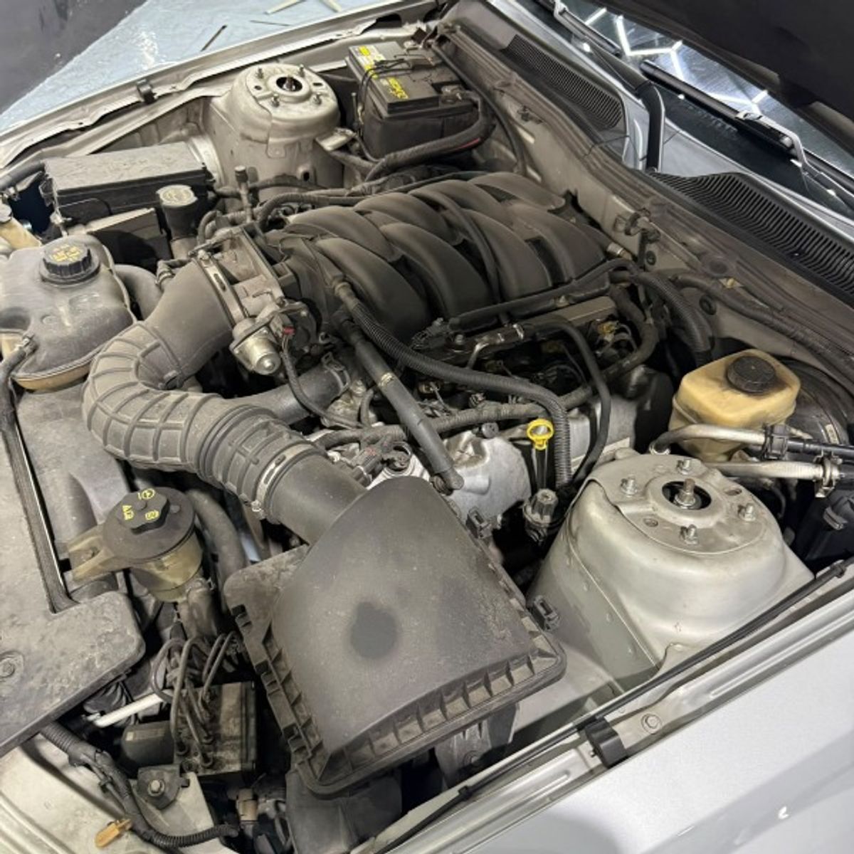 Foto 9 de Ford Mustang GT