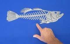 Fish Bone Wall Art