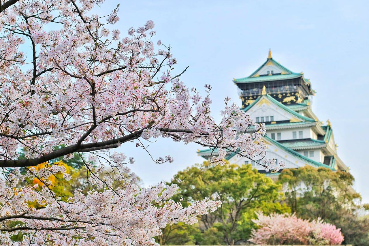 Japán utazás – 14 nap a hagyomány és modernitás varázslatos világában
