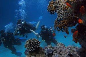 Koh Tao búvárkodás