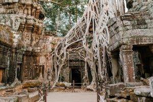 Ta Prohm