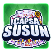 Capsa Susun