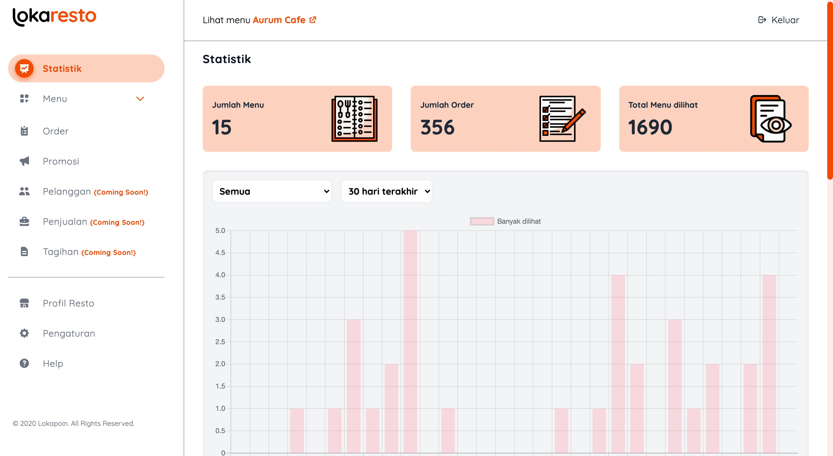 Customer profile user interface