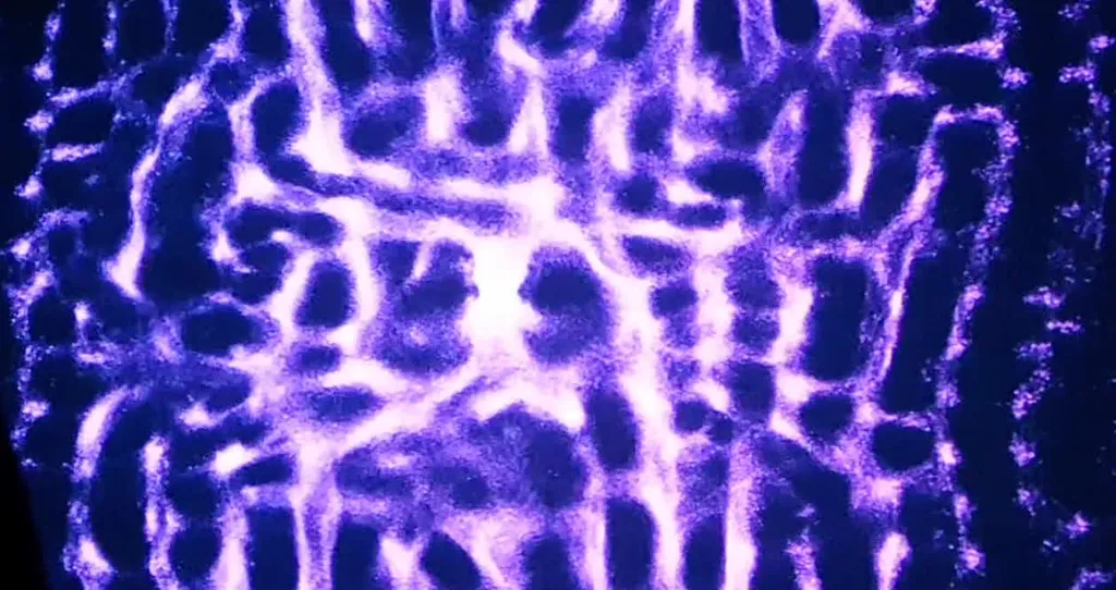 Parametrically controlled emergent improvisation