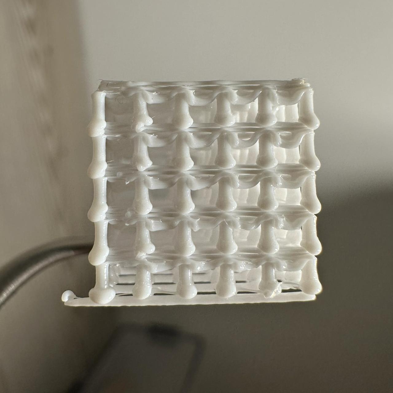Stem cube, side view