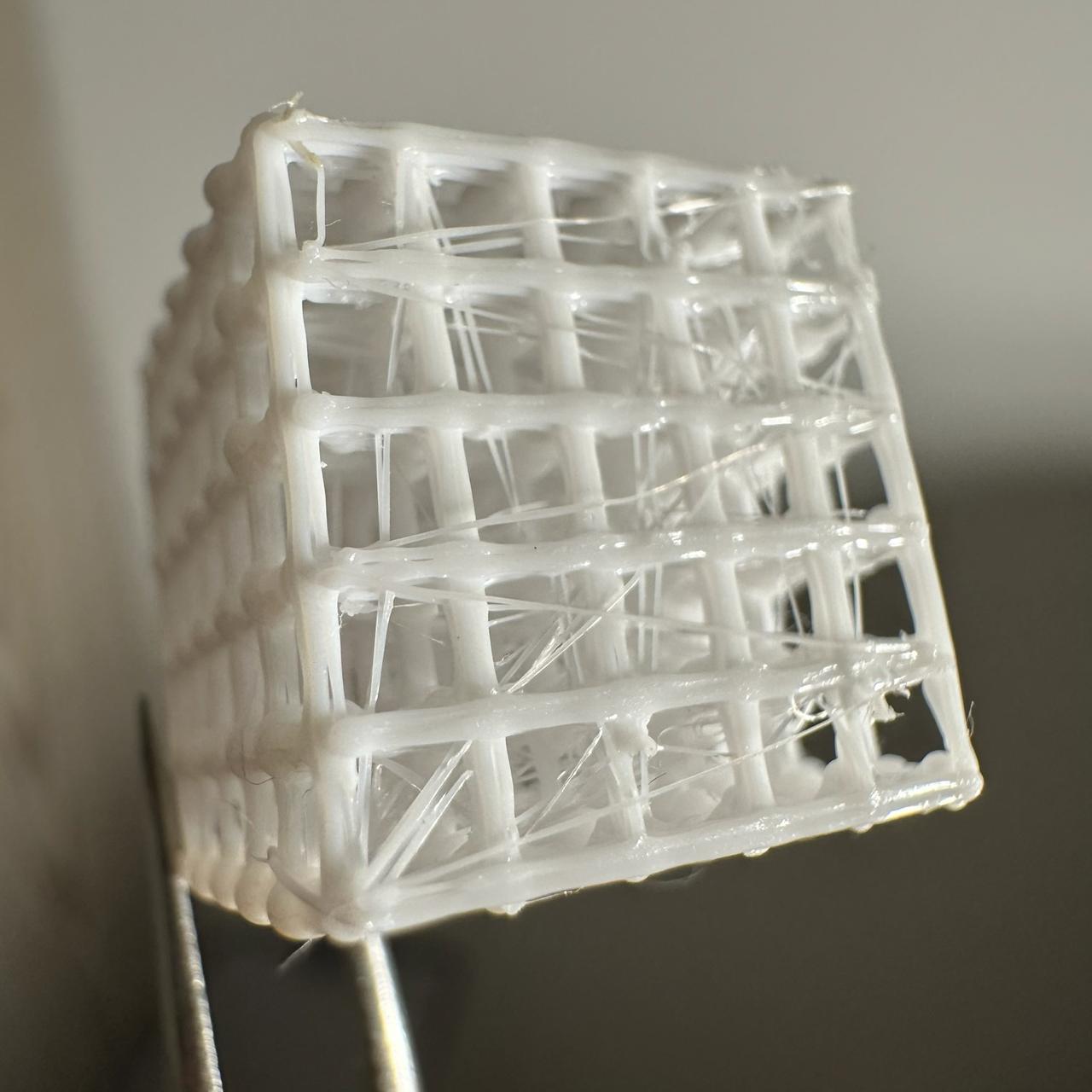 Stem cube, top view