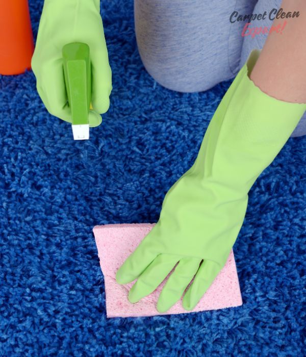 FAQS about Carpet cleaners Services in Stratton, CO