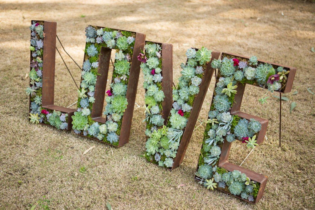 OLIVEGREENPOPUPPLANTS_BLOGPOST