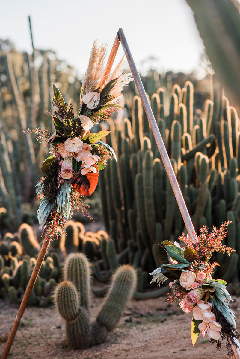 Cactus Country - engagement inspiration | Ivory Tribe