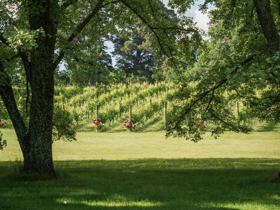 Image 17