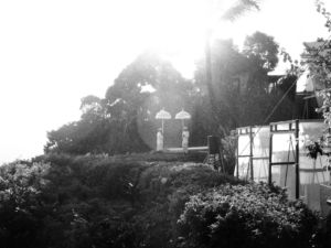 Image 19