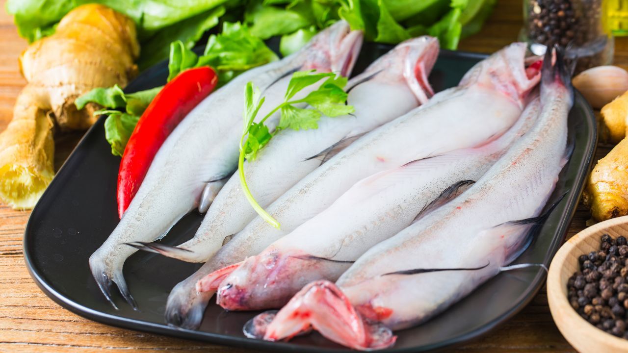 Nutritional Benefits and Classic Recipe of Bombil