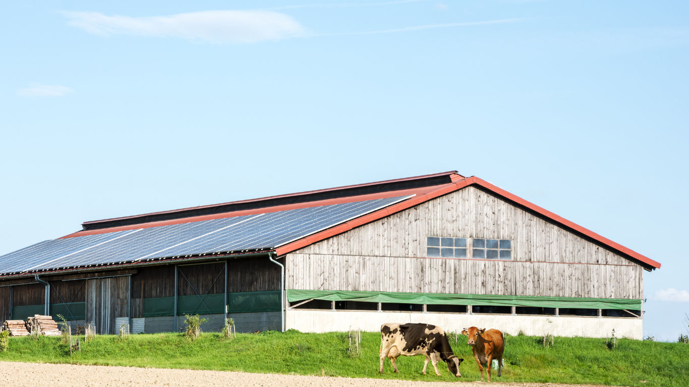 Solar panels at a farm estate