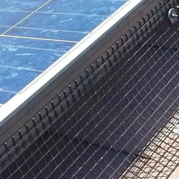 Solar panel bird mesh and clips — pigeon-proofing without shading loss London MCS maintenance
