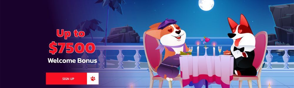 A promotional banner for the Red Dog Casino Welcome Bonus.