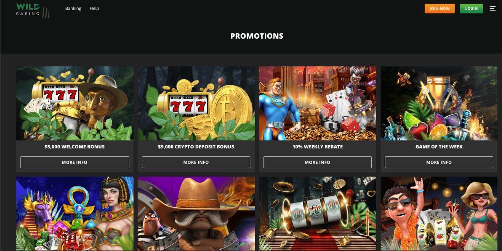Promotional offers available at Wild Casino