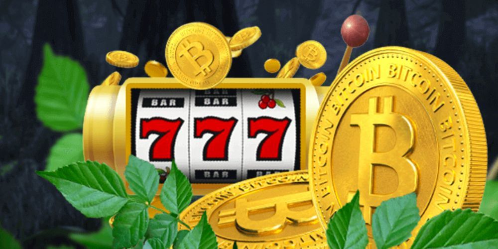 A promotional image showing a welcome bonus with free spins at Wild Casino.