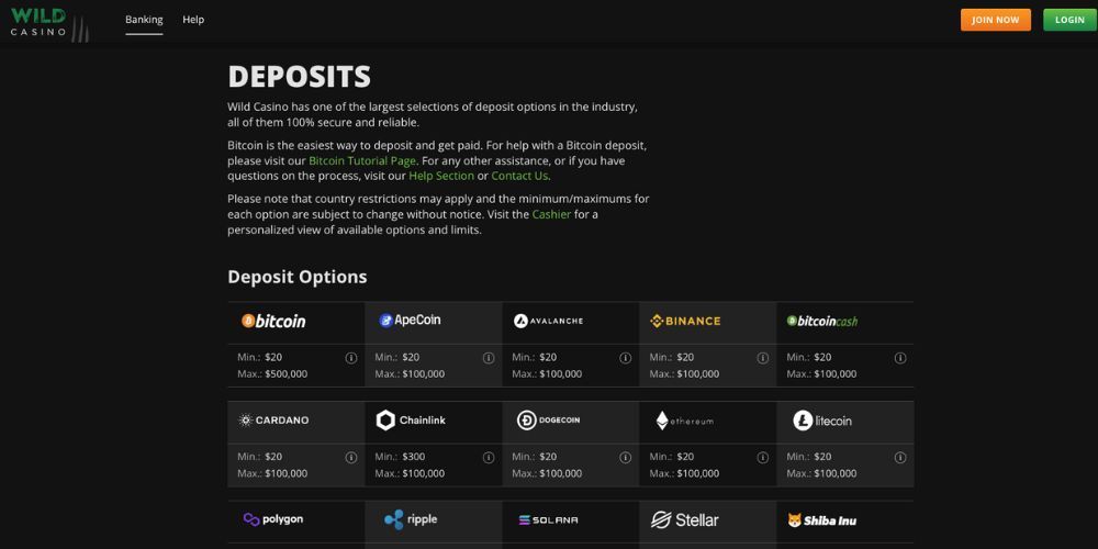 Payment options at Wild Casino