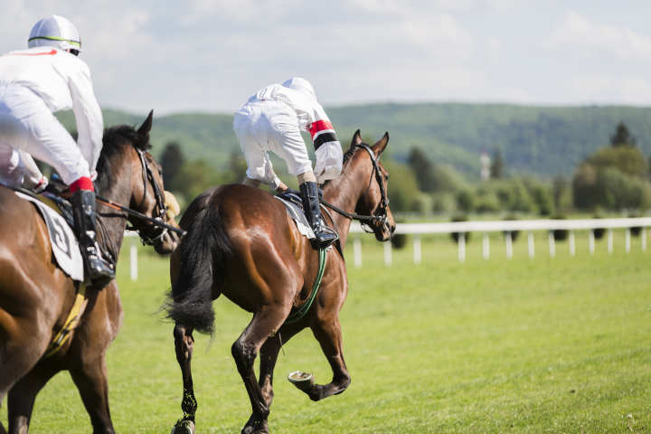 A thoroughbred racehorse running on a track.