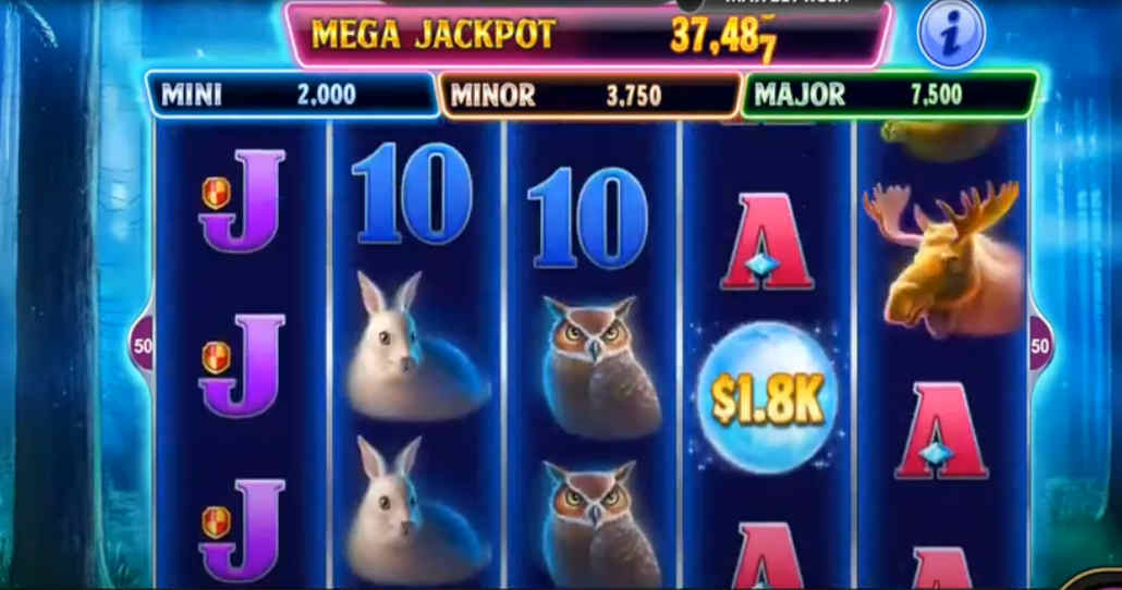 Wild Howl slot game interface on Facebook.