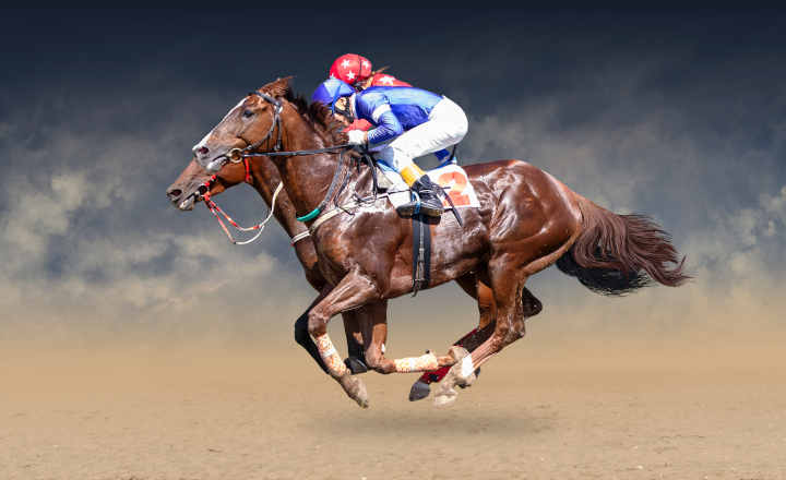 A crowd watching a horse race