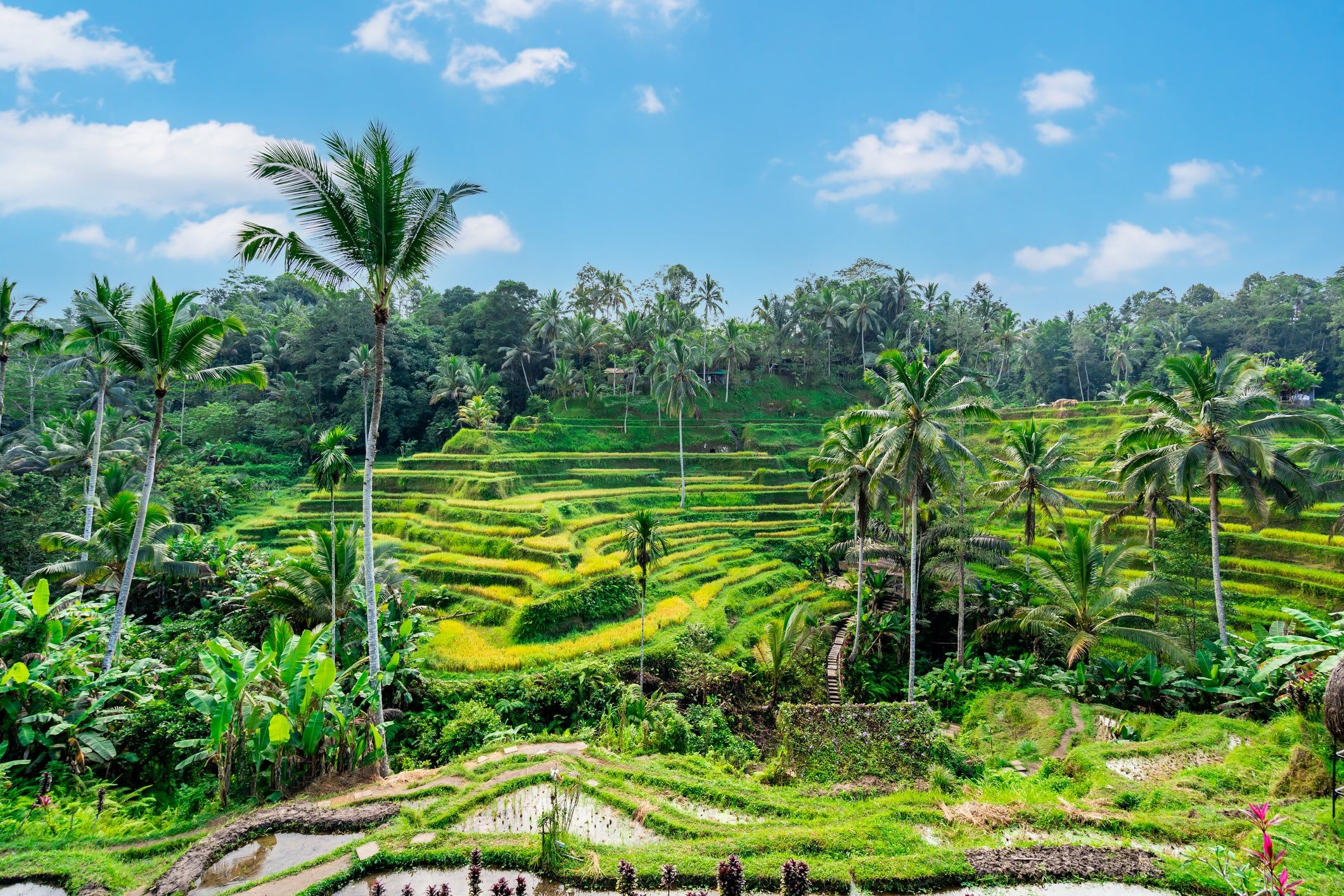  Bali Highlights – 7 Days