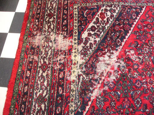 Prevent and Kill Moths in Your Persian Rugs - Behnam Rugs