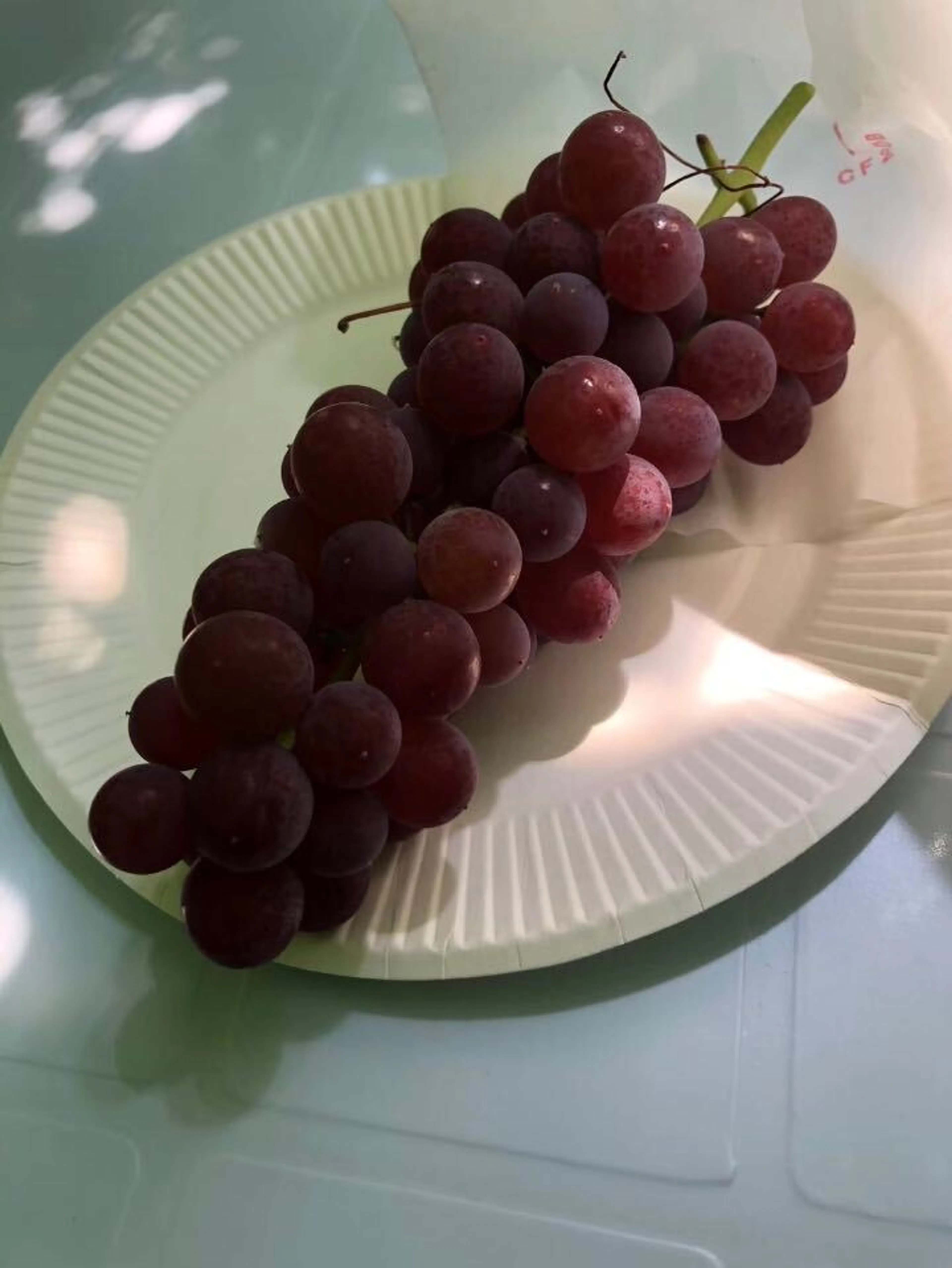 んな中15房食べた
部歴代最高タイを記録！