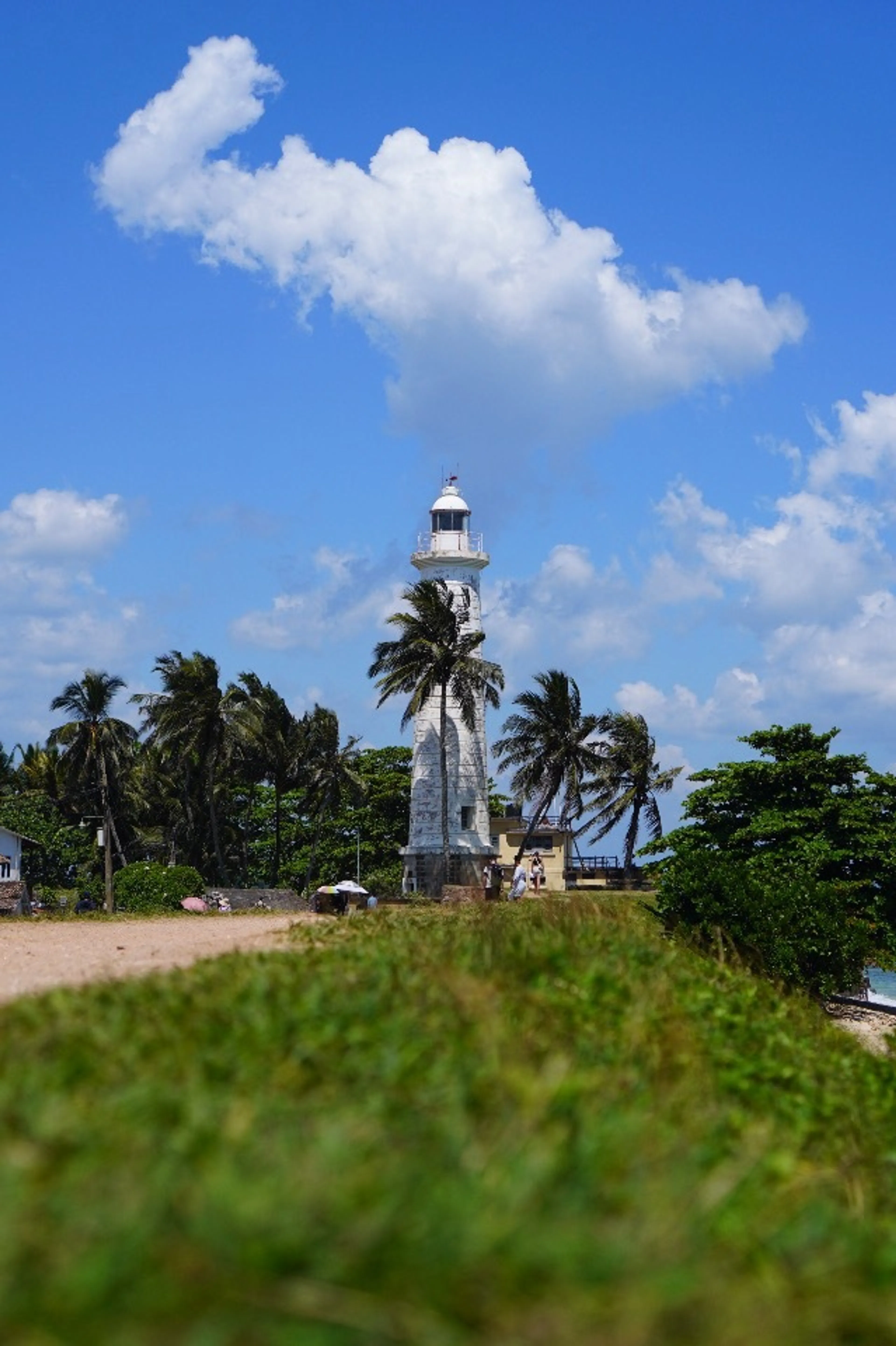 いやー映えますなあ。