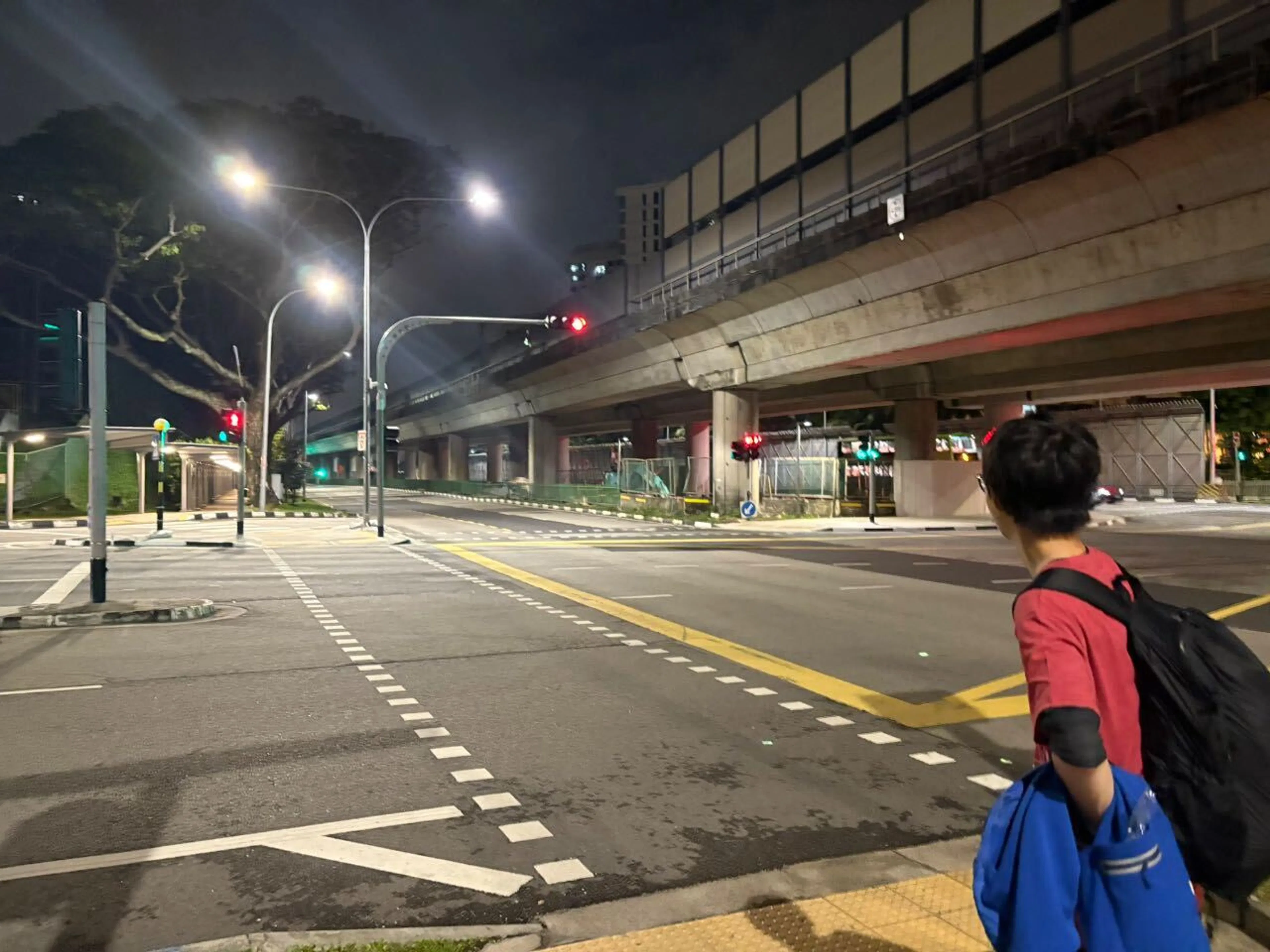 最後のトランジット先シンガポールも散策