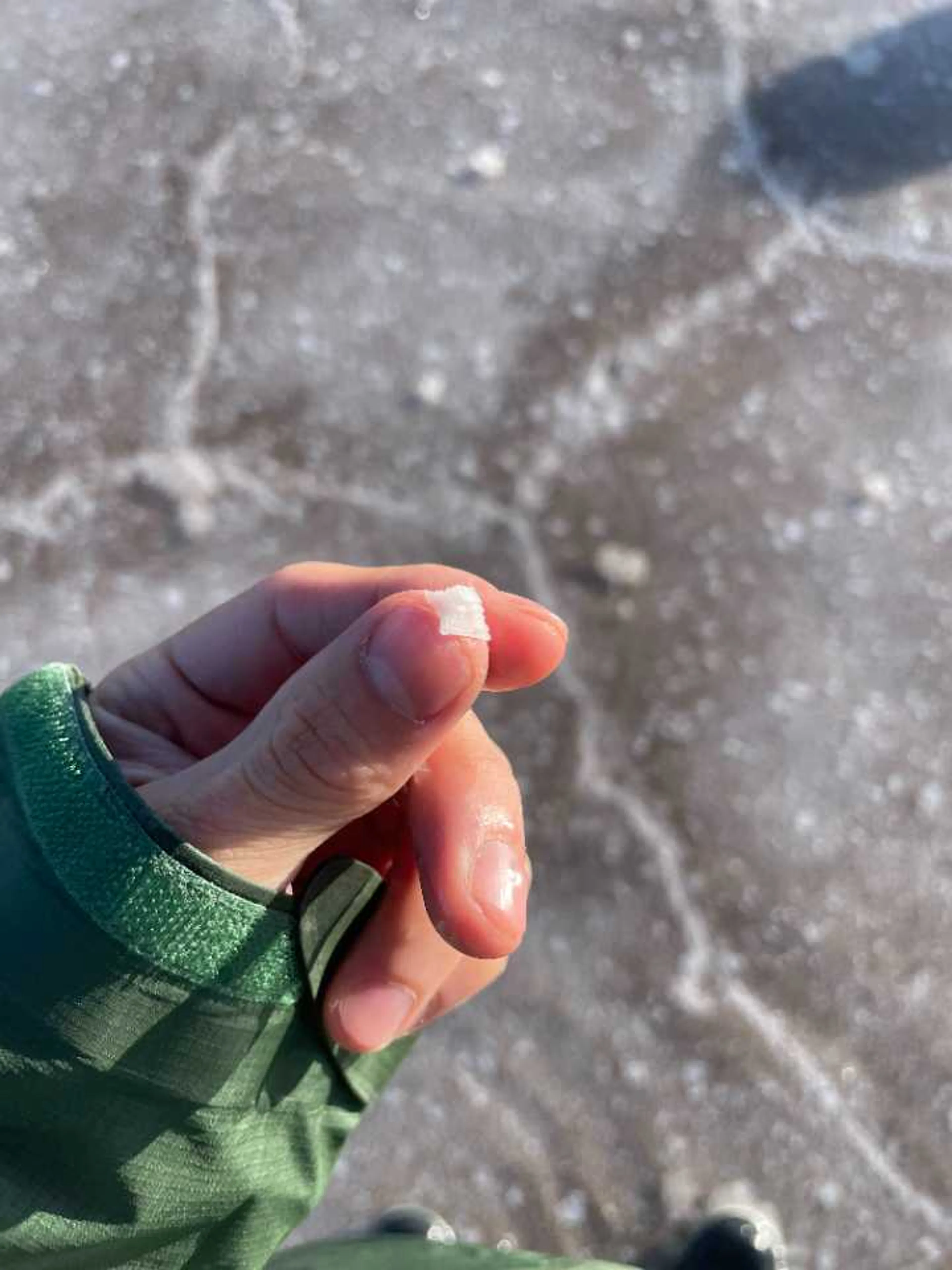 塩の結晶きれい