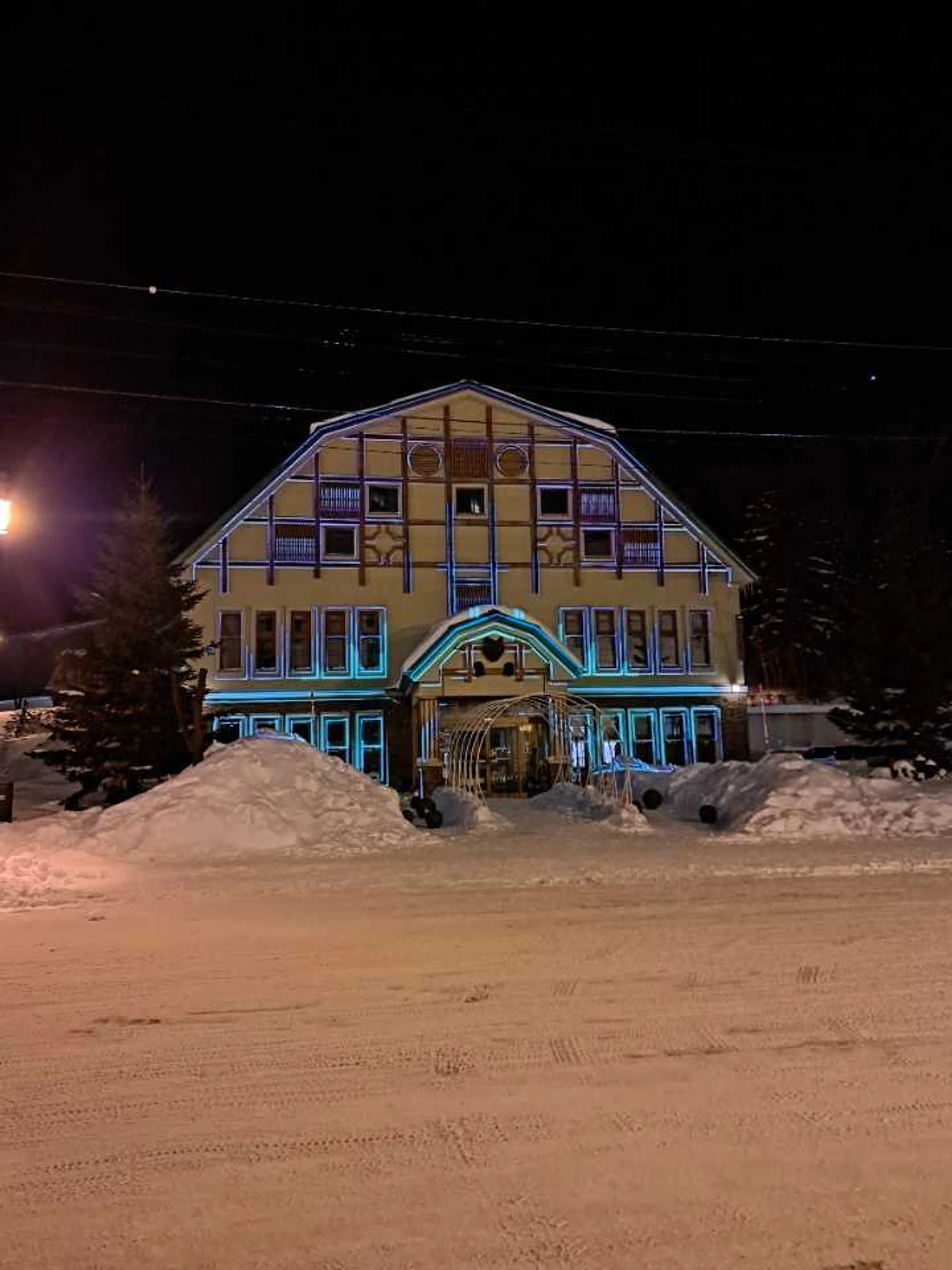 夜にプロジェクションマッピングやってた