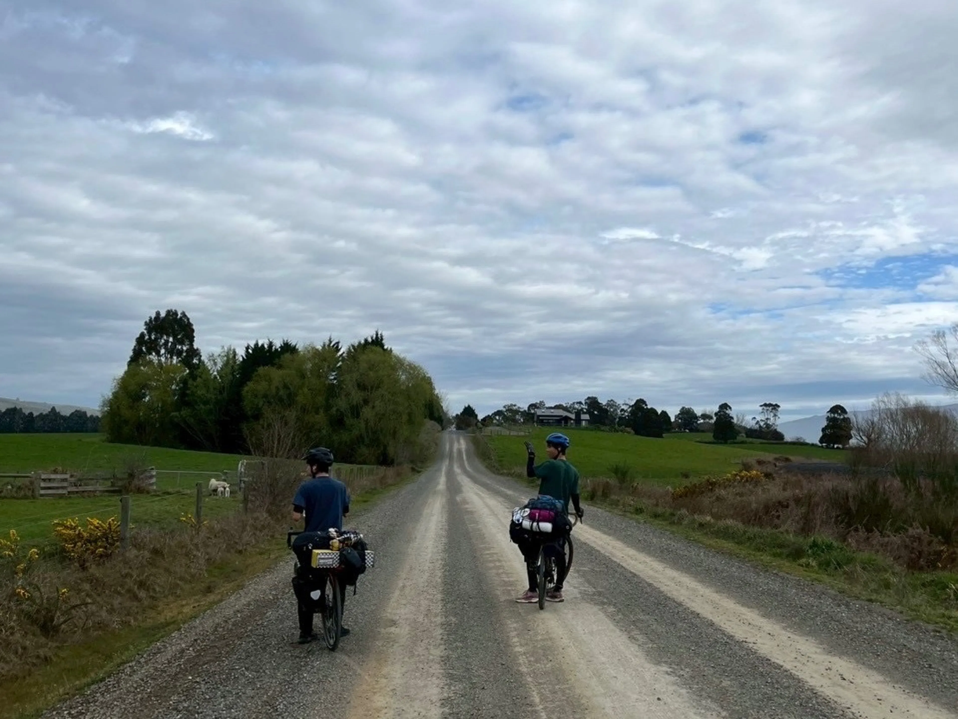 左には可愛い羊がたくさん