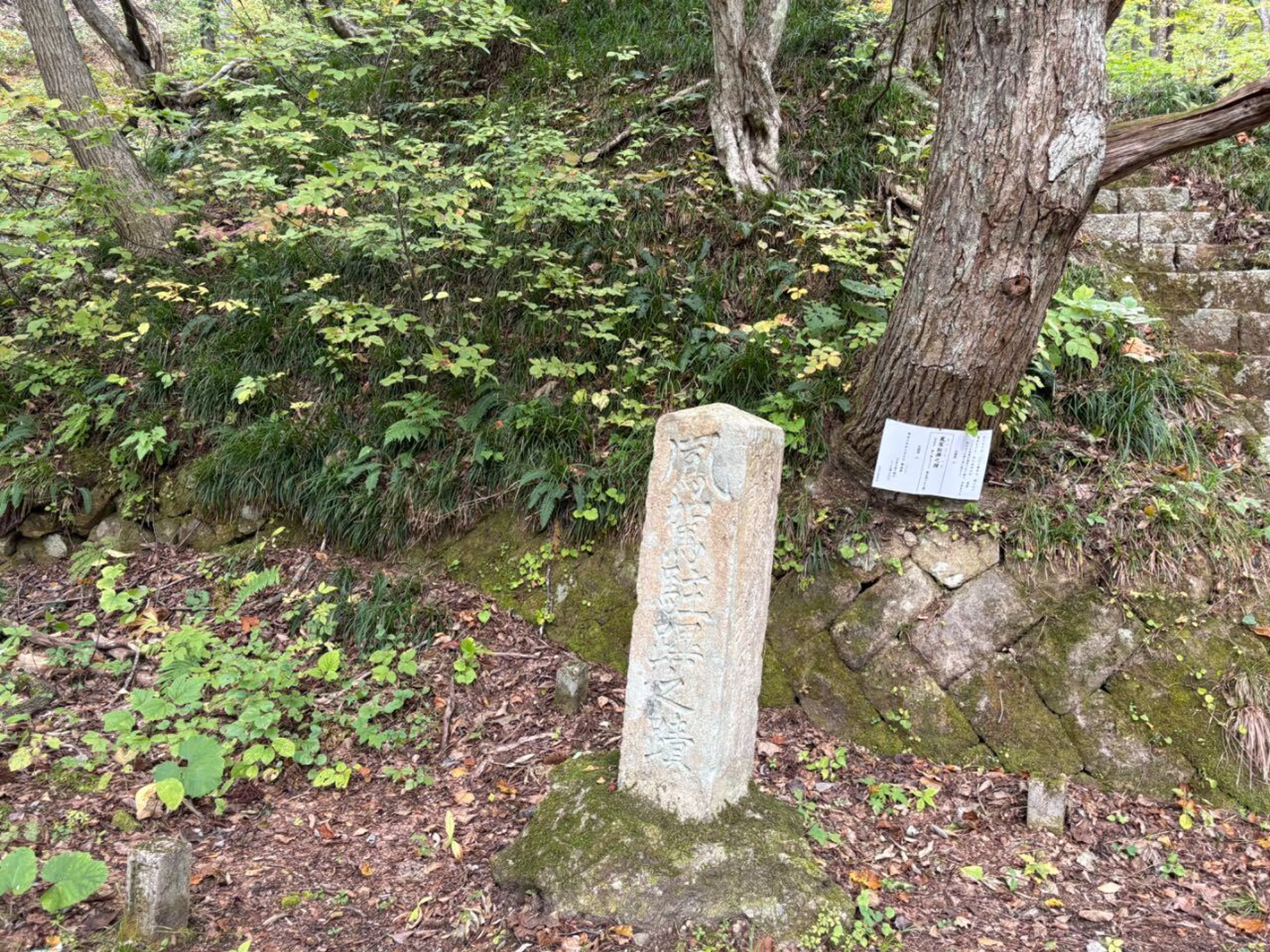 明治？くらいに天皇陛下が使った道らしい