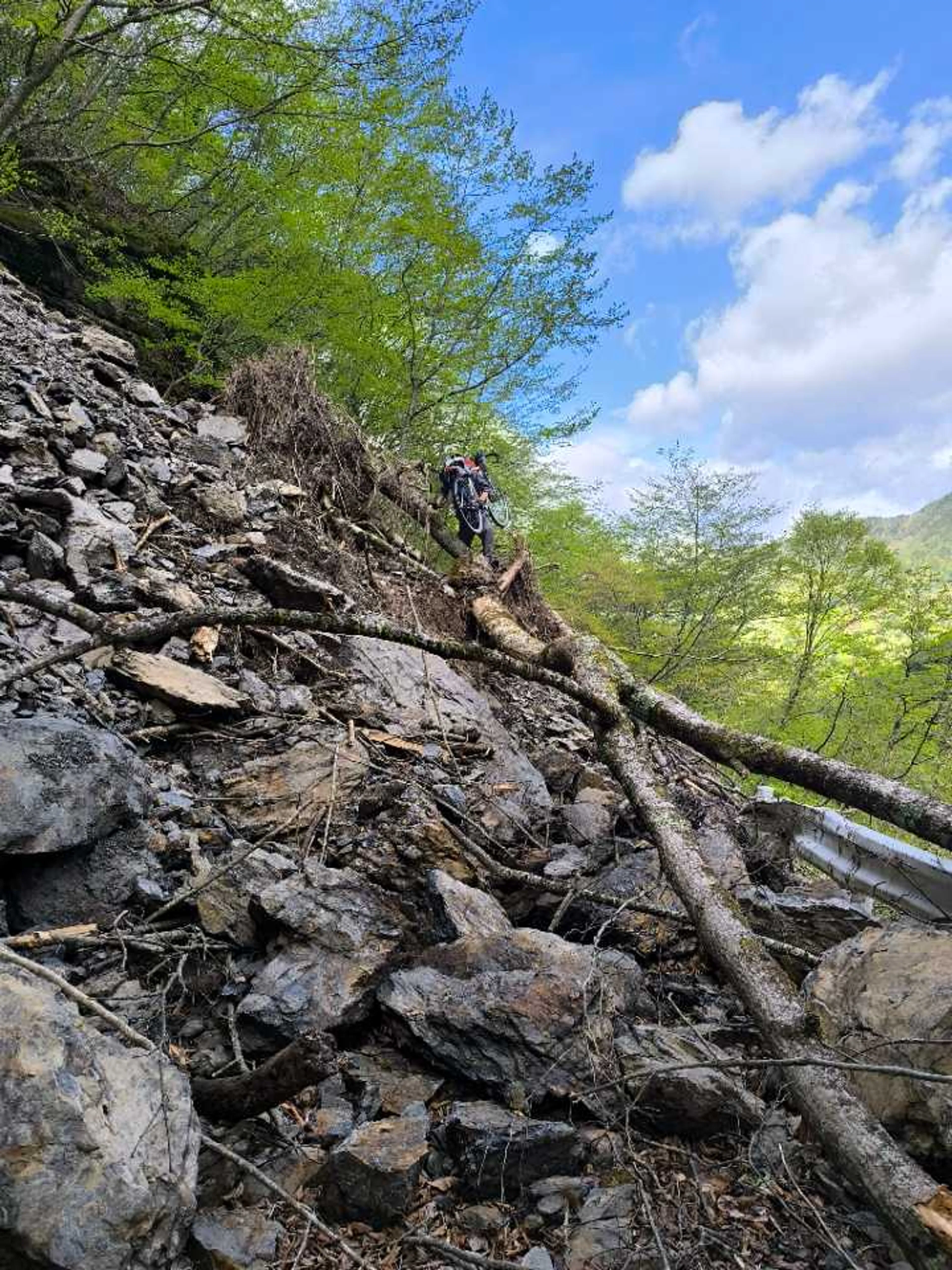 2025年5月 オクシズ小探訪