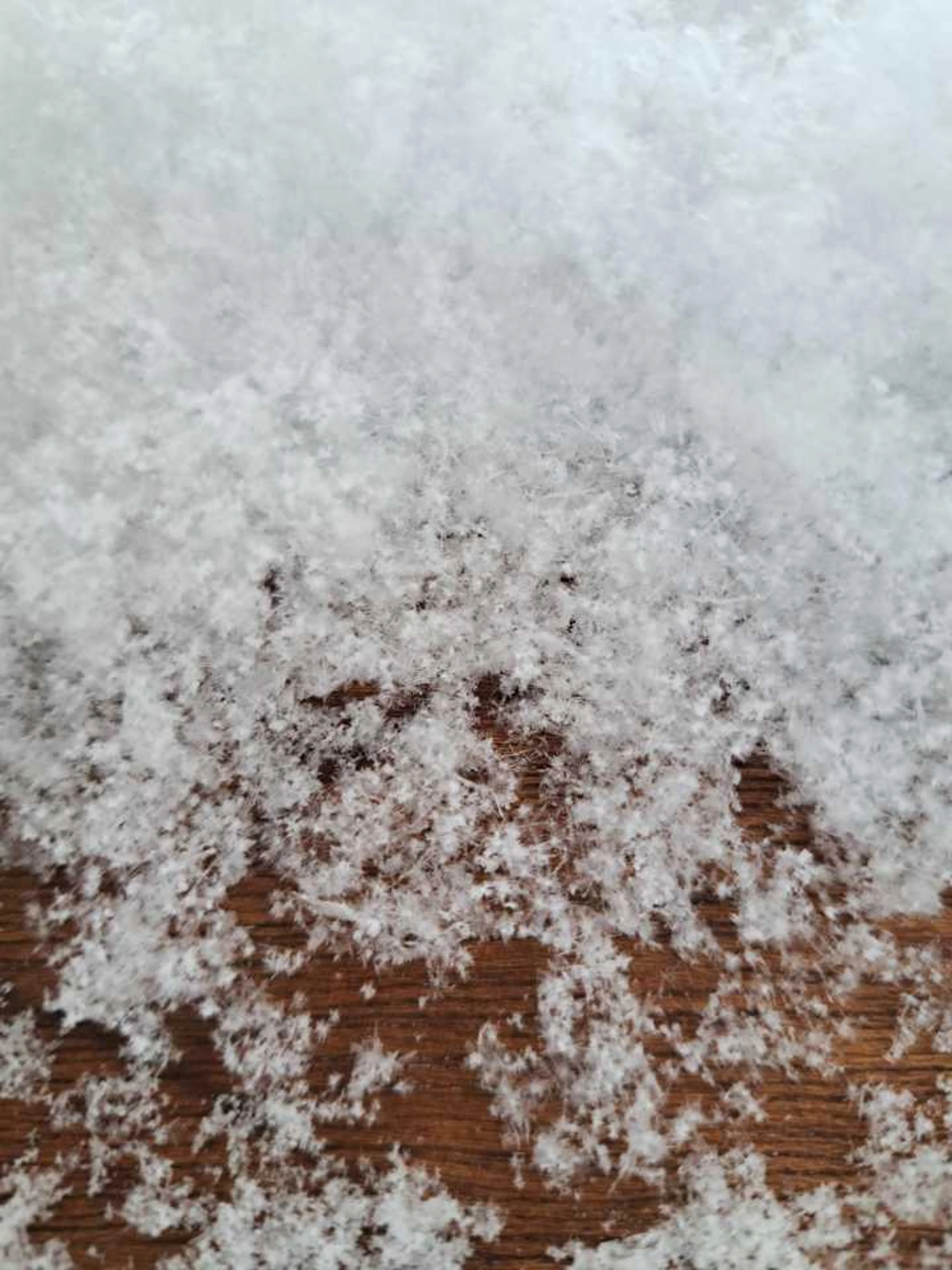 めっちゃパウダー