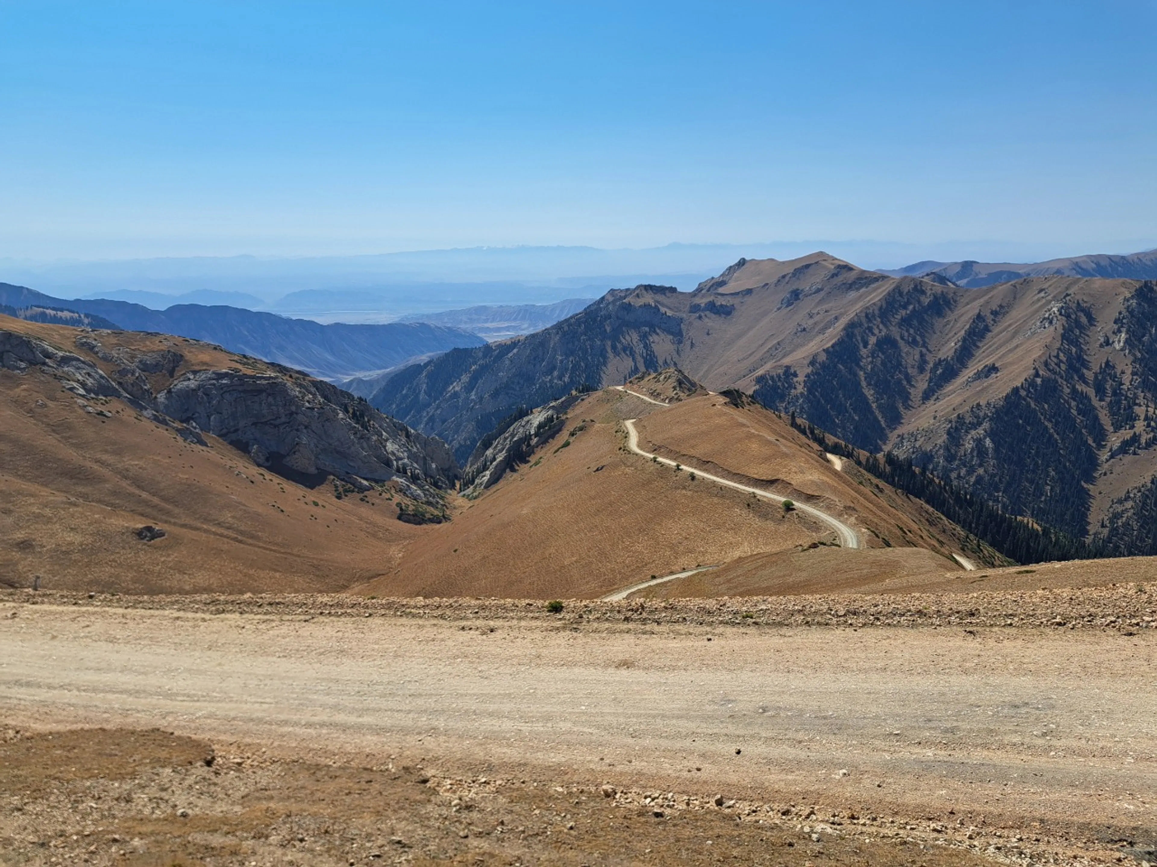 めちゃんこすごい道(語彙力)