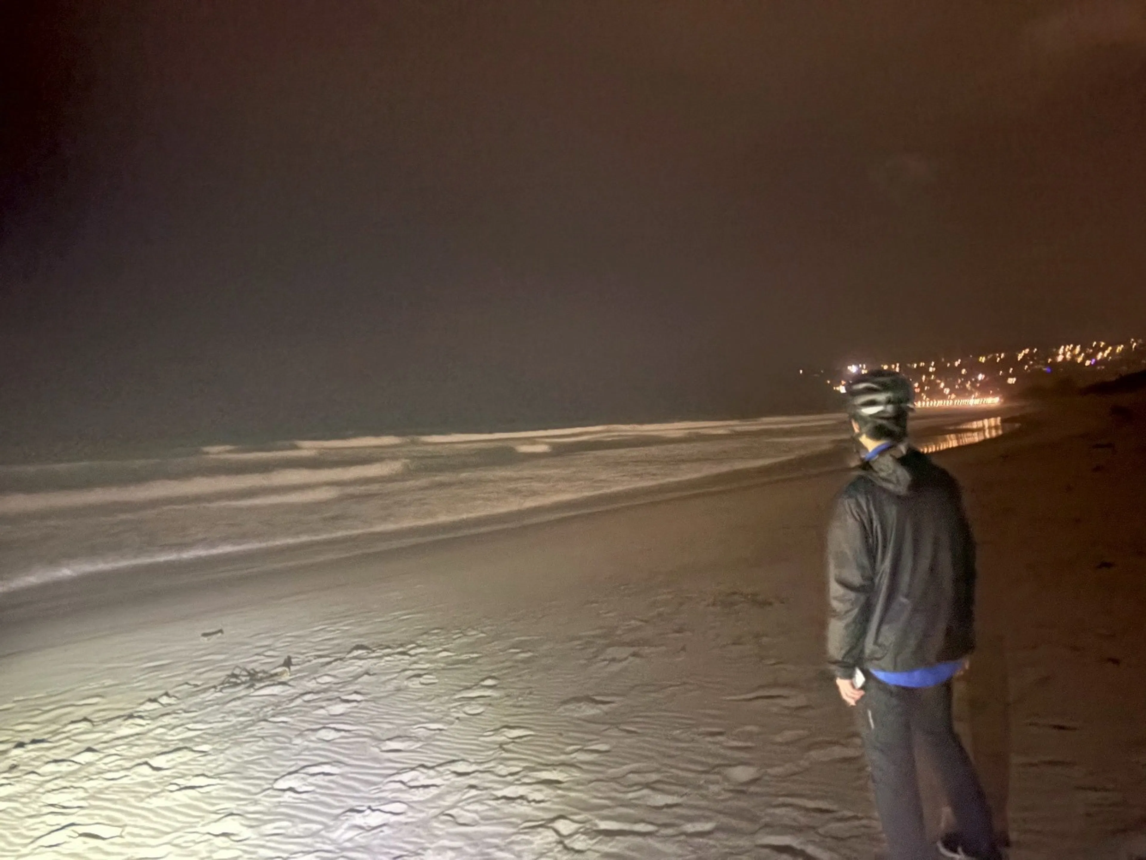 ペンギンはどこですか