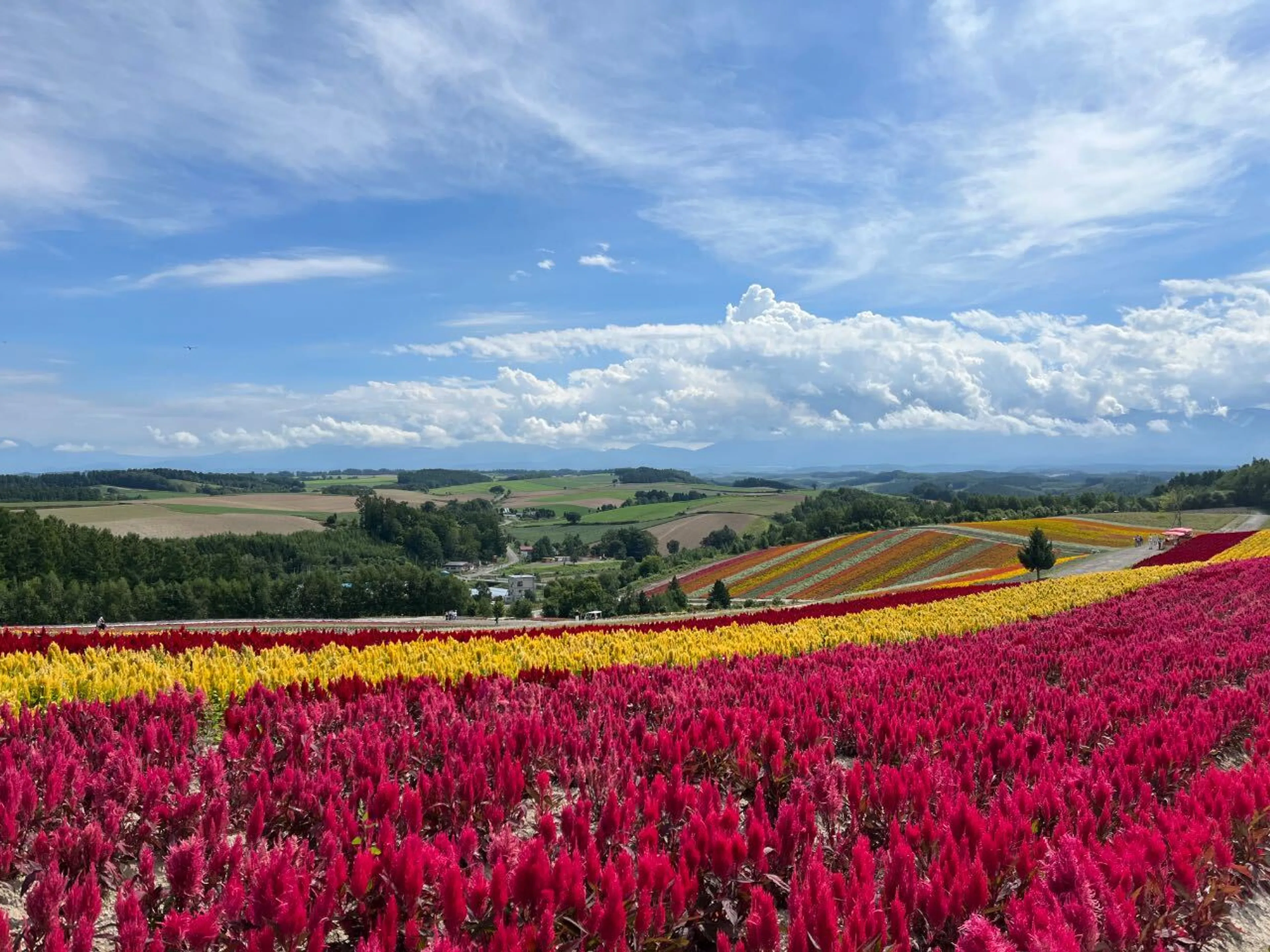 2023年8月 北海道夏期遠征 2班