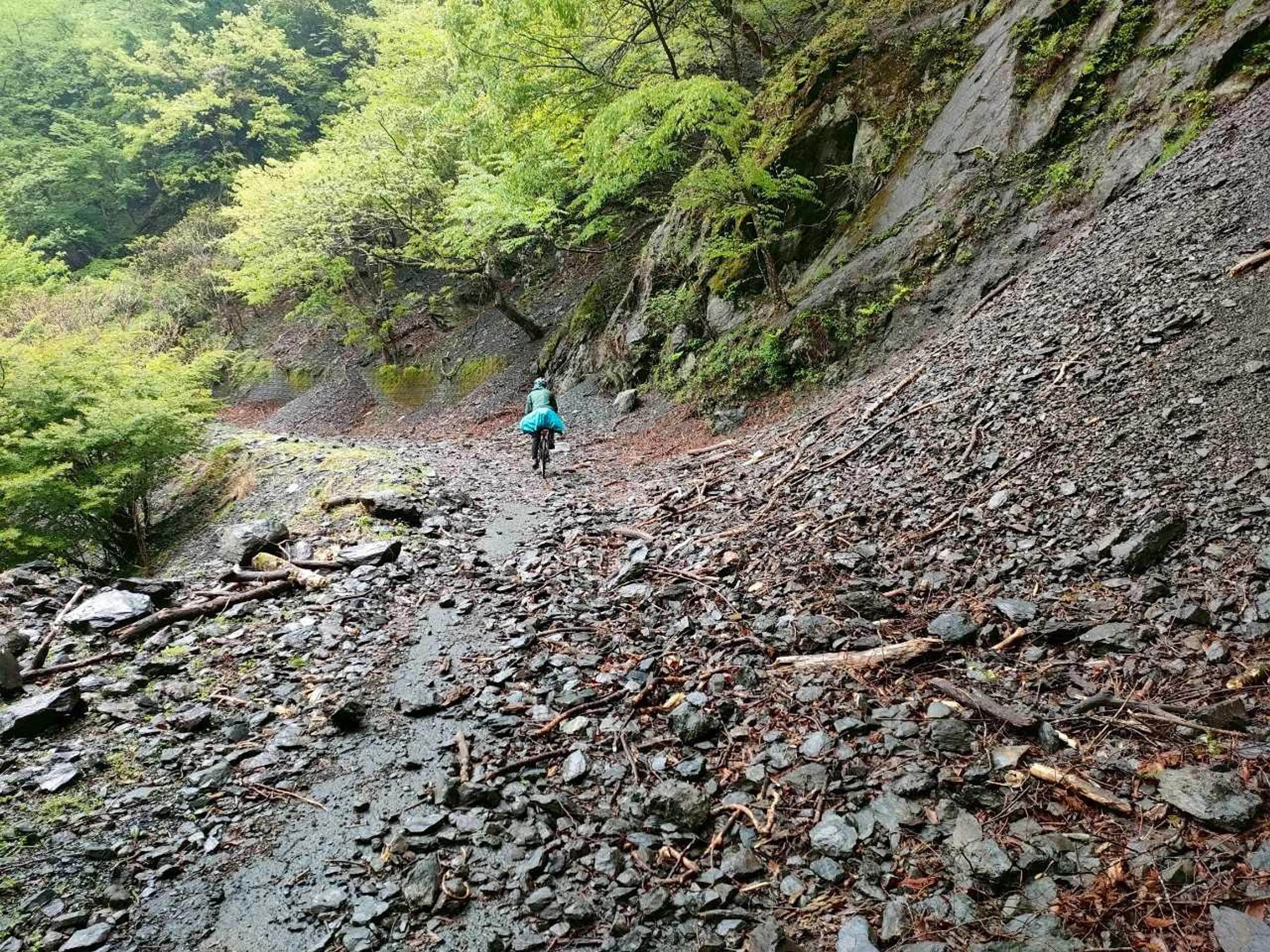 乗れなくもない